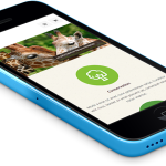 iphone-5c-blue