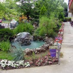 019 (1)