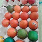 farbanje jaja – slika 5