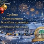 Прослава дочека Нове 2026. године
